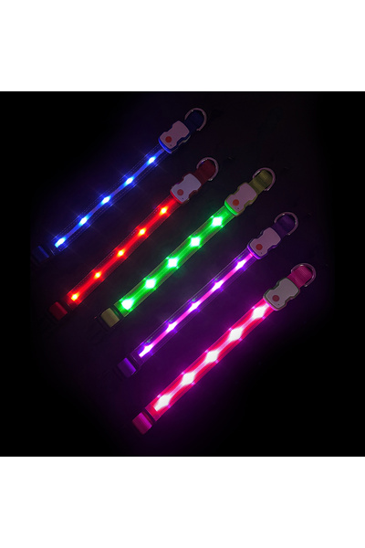 TIZE Tz-tc6230 Led Işıklı Şarjlı Köpek Tasması, Su Geçirmez, 3 Renk Seçenekli