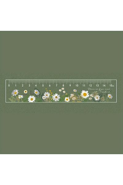 Choice 01 Clear Acrylic 15cm School Ruler With Centimeters - Durable And Easy-to-read