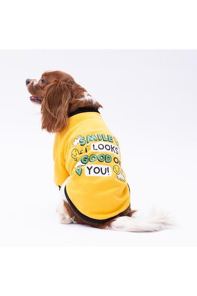 Pawstar Yellow Loviisa Sweat Cat Dog Sweat- Cat Dog Outfit
