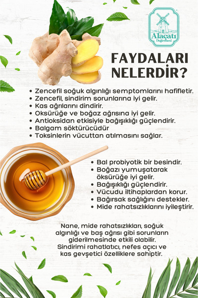 Alaçatı Değirmeni Ginger shot, Zencefil, Zerdeçal, Karanfil, Bal, Nane Özü, Hibiskus, Kara Mürver, C Vit 250ml İçecek