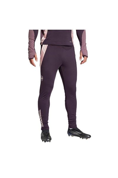adidas Afc Tr Pnt Ανδρικό Μωβ Φούτερ Jf2916