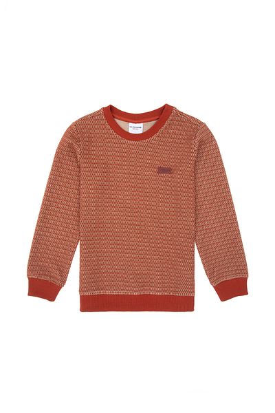 U.S. Polo Assn. Tile Sweatshirt for Boys 50290787 -Vr031