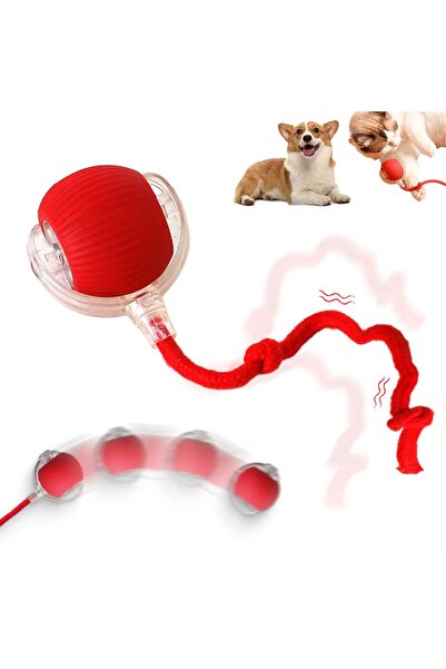 BLUE SİDE 360 Kendinden Hareketli Kedi Topu Şarj Edilebilir Kedi Köpek Oyuncağı Kedi Köpek Topu