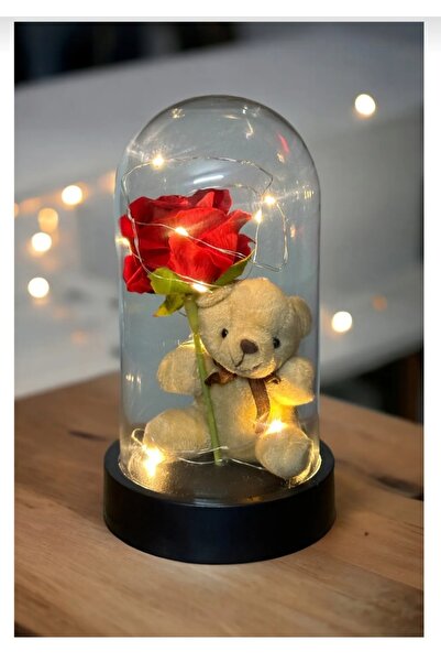 baskıtek Işıklı Cam Fanusta Ayıcık ve Solmayan Gül, Sevgiliye Hediye, Yıldönü...