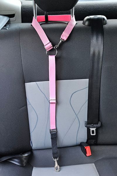 CARAMELOS Pet Vehicle Seat Belt Cat Dog Car Auto Collar Auto Accessory Cat Dog Safety Belt
