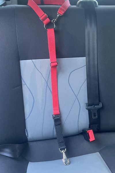 CARAMELOS Pet Vehicle Seat Belt Cat Dog Car Auto Collar Auto Accessory Cat Dog Safety Belt