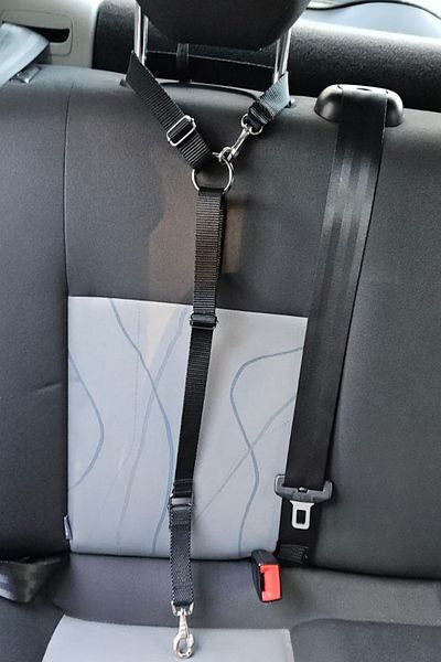 CARAMELOS Pet Vehicle Seat Belt Cat Dog Car Auto Collar Auto Accessory Cat Dog Safety Belt