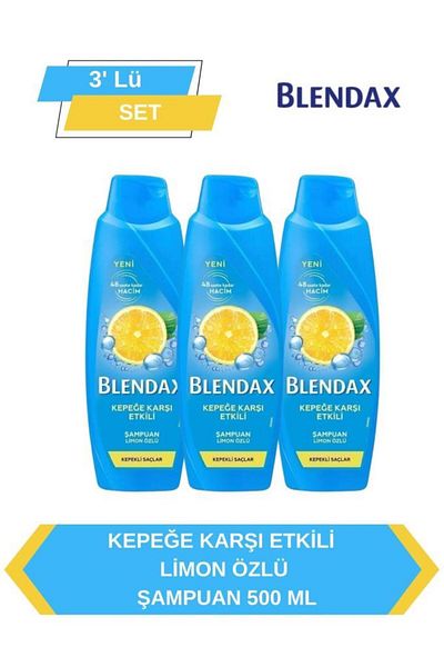Blendax 500 مل شامبو فعال ضد القشرة - Efkilix3