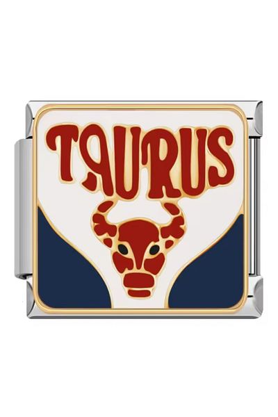 RoseCo00 Italian Steel Taurus Bracelet Charm
