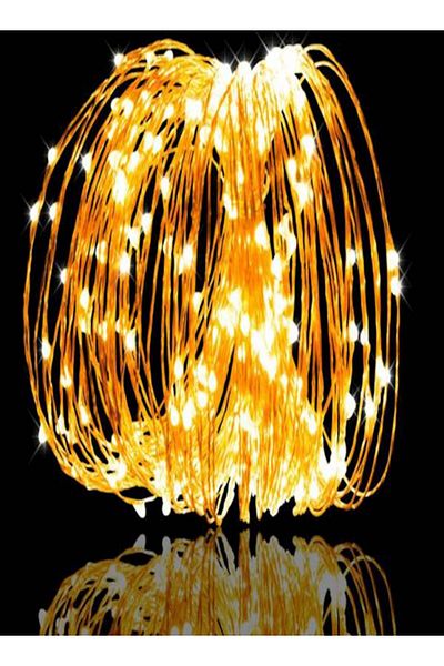 Taimi 100 LEDs 10M String Lightss