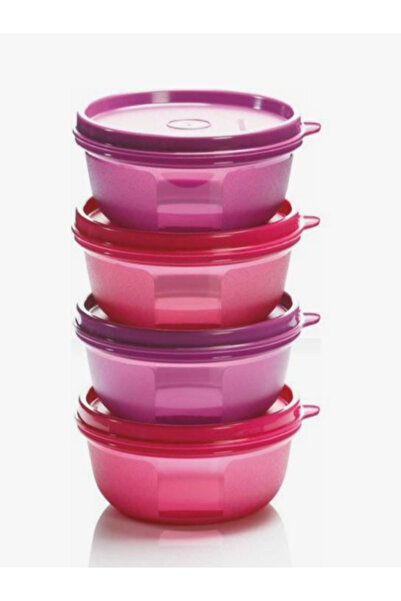 CANDAN TİCARET Tupperware Refrigerator Storage Containers Set of 4 (300 ml)