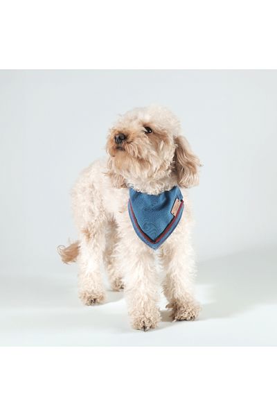 Patipatron Adjustable Design - Medium and Small Breed Dog, Denim Scarf
