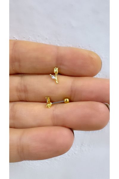 Arescollection 1 Piece Surgical Steel - Tragus Helix Lobe Compatible Piercing Earrings