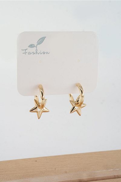 By Zeyna Aksesuar Women's Vip Series 316 L Steel Antiallergic 2.5cm Star Model Earrings