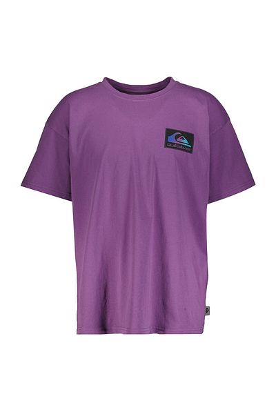 Quiksilver Πίσω Flash Ss Ανδρικό ροζ μπλουζάκι casual στυλ Eqyzt07605-pmp0
