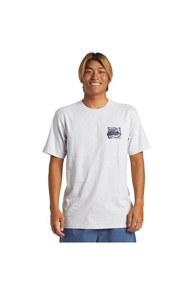 Quiksilver Ανδρικό μπλουζάκι σε γκρι casual στυλ Hurricane Or Hippie Moe AQYZT09540-SCVW