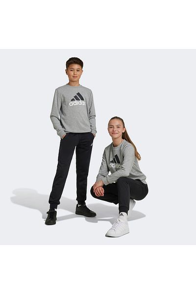 adidas Essentials Big Logo French Terry Kids Gray Tracksuit Set