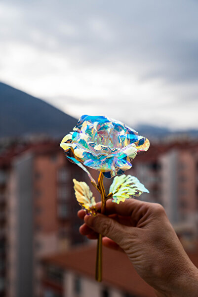 etxShop 14 فبراير هدية عيد الحب وردة إنفينيتي هدية للحبيب هدية صناعية لا تذوب...