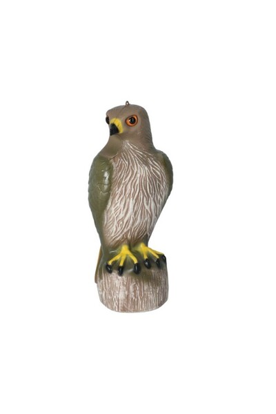 Bird B Gone طُعم الصقر ذو الذيل الأحمر