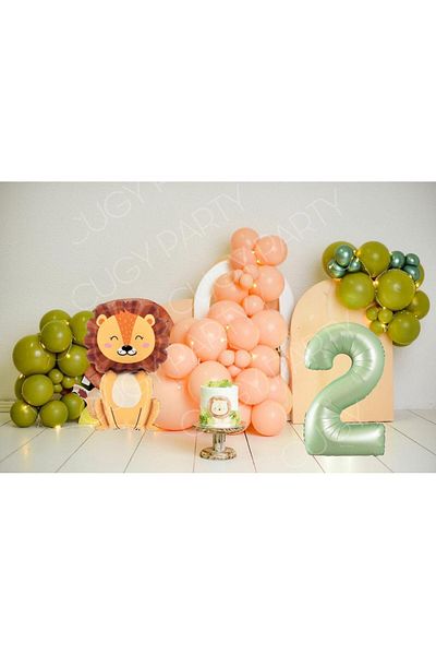 CUGY Lion King Conceptualized Birthday Party Celebration Set in Salmon Green Colors with Age Options
