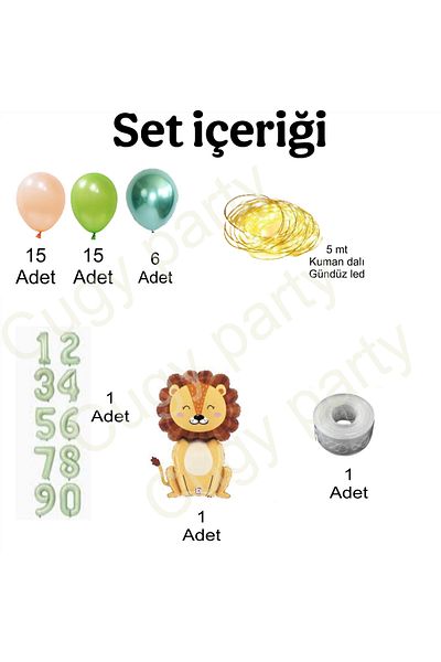 CUGY Lion King Conceptualized Birthday Party Celebration Set in Salmon Green Colors with Age Options