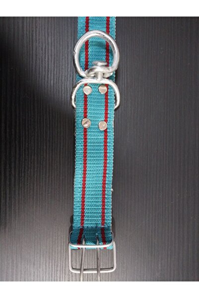 AMORE Turkuaz Güçlü Kangal Köpek Boyun Tasması 70-84cm