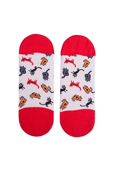 Biggdesign Women's 3-Piece Invisible Booties Socks Set