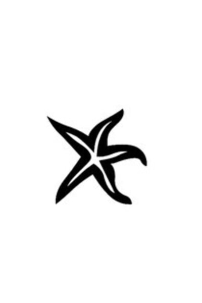 BİLGİMOLA ملصق نجم البحر 20 × 18 سم