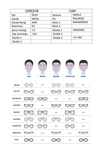 De Valentini Dv 469 3 Men's Sunglasses