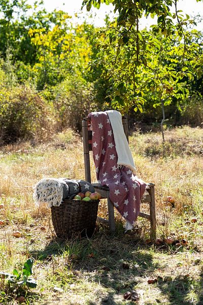 Barine Fleece Covered Double Faced Star Jacquard Throw Burgundy with Carrying Belt