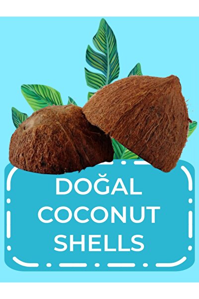 MDİZMİR Lepistes Balıgı için Coconut Dekoru Kalsiyum ve pH Dengesini Artırır....