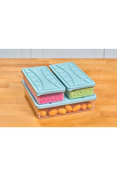 SUPERPUP Storage Container Set of 6 Soft Lid (4 X 1.1 Lt) (2 X 3 Lt) Water Green Freezer, Spray Container