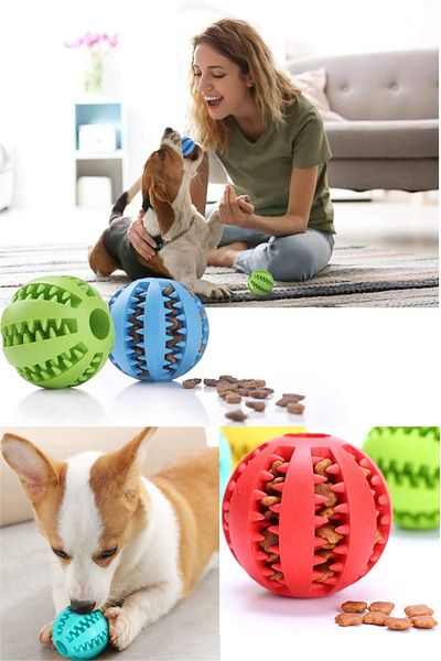 omilife Dog and Cat Training and Play Ball with Orange Food Bowl