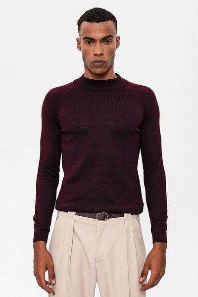Antioch Plum Half Turtleneck Slim Fit Knitwear Sweater