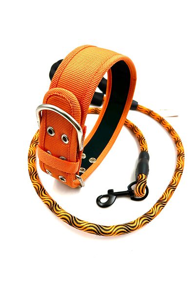 Tasma Market Orange Soft Textured Large Breed Dog Neck Walking Collar Set