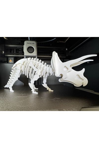 Cerberus 3D Puzzle