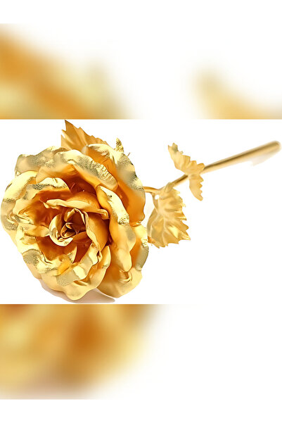 rkmstore Sonsuzluk Gülü Hediyelik Gül Gold Renk Ev Dekor  Sevgiliye Hediye Anneler Günü Hediyesi Solmayan Gül