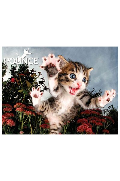 Prime 3D 100 Piece Cat Claw Puzzle - 10562