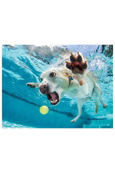 Prime 3D Daisy Patterned Underwater Dog Puzzle - 100 Pieces 20508