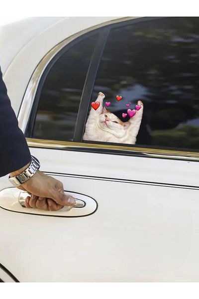 Quun Αυτοκόλλητο αυτοκόλλητο Crazy Cats 2 - Αυτοκίνητο, Laptop, Macbook, iPad, Tablet