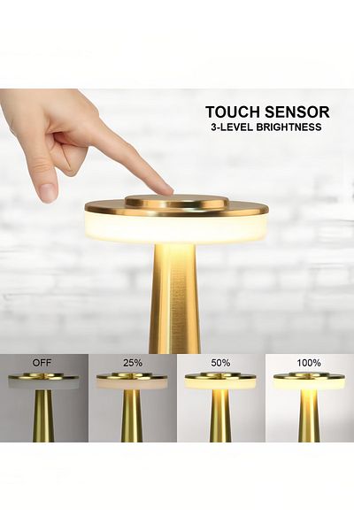 COOYA Portable Gold Decorative LED Table Lamp, Touch Sensor with 3 Brightness Levels, USB Rechargeable