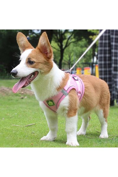 Choice Xl Pink Reflective Pet Harness And Leash Set For Dog & Cat, No Pull Dog Vest Harness With Breathable