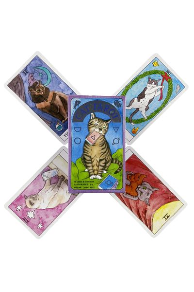 Choice بطاقات Tarot Tt26 Cute Cat من Oracle English Visions Divination Edition، 78 Deck، ألعاب لعب Borad