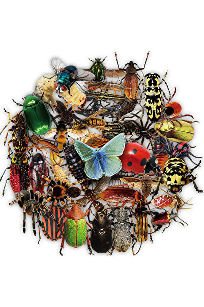 Choice 50 قطعة من ملصقات الحشرات الشفافة الواقعية، ملصقات الحشرات للأطفال وال...