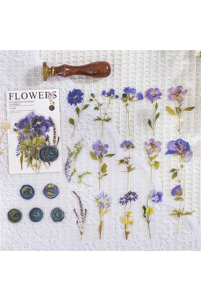 Choice F 40 Pcs Vintage Dried Flower Leaf Specimen Stickers Aesthetic Creativity Decorative Scrapbooking M.