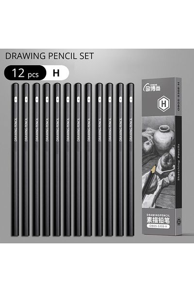 Choice 12pcs H Professional 2h Hb B 2b 3b 4b 6b 8b 12b 14b Sketch Drawing Graphite Charcoal Pencils Set Dra