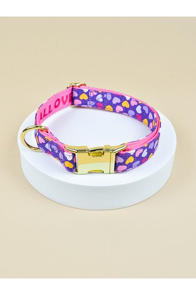 Choice S FH-ZSAX Valentine's Day and New Year Gifts For Medium Dog And Small Dog Cute Pet Collar Double Si