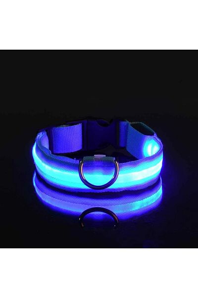 Choice XL neck 42-56cm Blue Dog Collar Nylon LED Night Safety Flashing Glow In The Dark Pet Dog Leash pet D