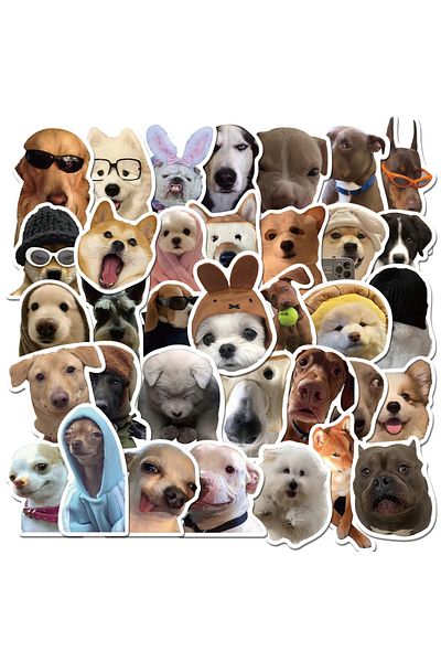 Choice 50pcs 10/30/50pcs Dog Meme Cartoon Stickers Funny Animal Graffiti Sticker Motorcycle Laptop Skateboa