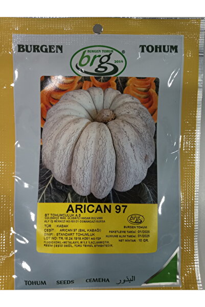 burgen tohum ARICAN 97 Bal KABAĞI TOHUMU